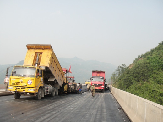 Aditivo anti Ruttings de Asphalt Modifiers Concrete Anti Crack do pavimento do tráfego da carga pesada